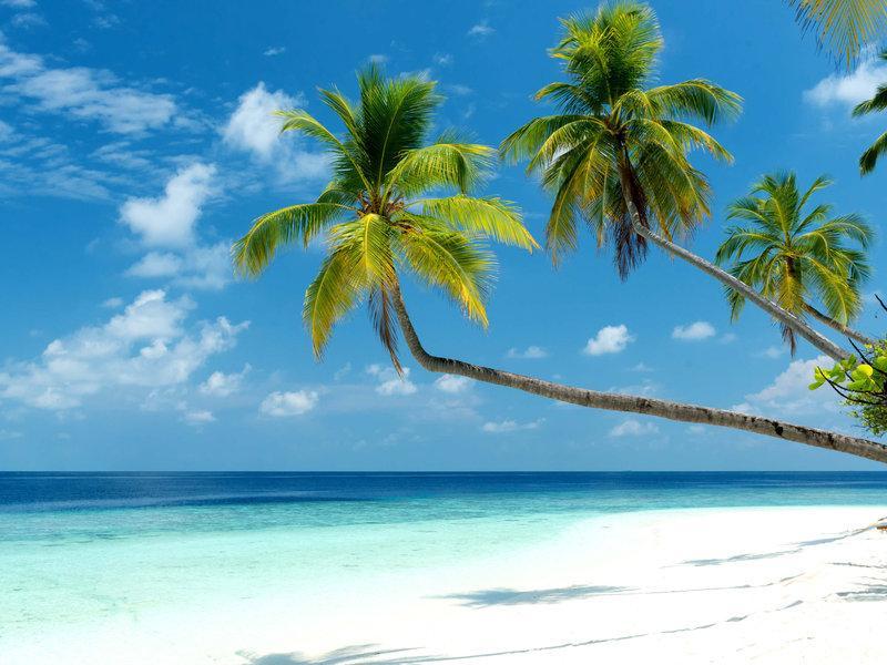 Mercure Maldives Kooddoo Adults-Only Resort - 35 Percent Off Return Domestic Transfers For Two Adults Until September Viligili Экстерьер фото